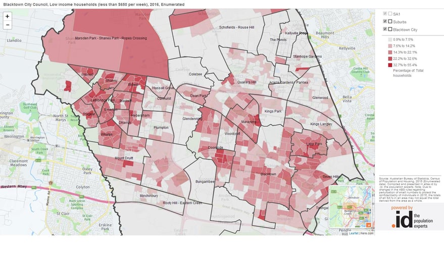 What are the characteristics of low-income households in your area?