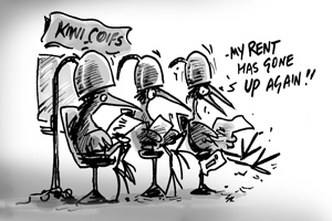 NZ-renters