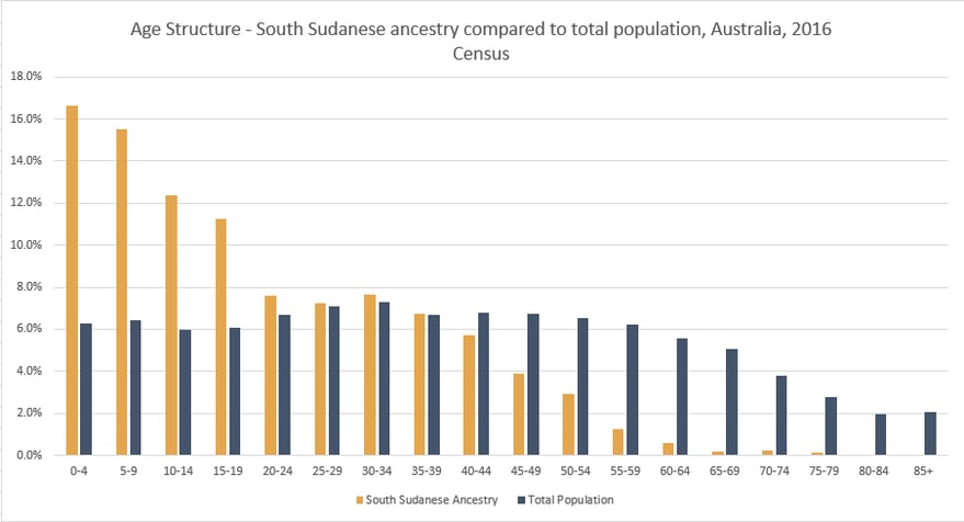 A demographic profile of the South Sudanese population