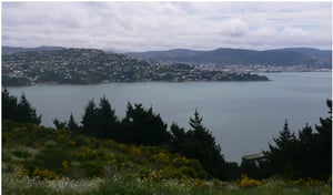 Wellington-city