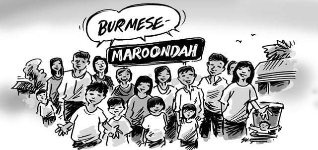 burmese-maroondah-pic-1