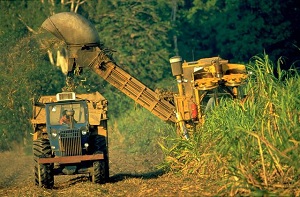 commodities-sugar_html_PHOTO