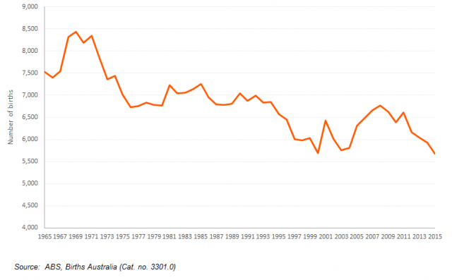 tasmanian-births-1965-2015-640x397