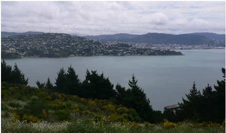 Thumbs up for Wellington where the people are young, smart, healthy and green